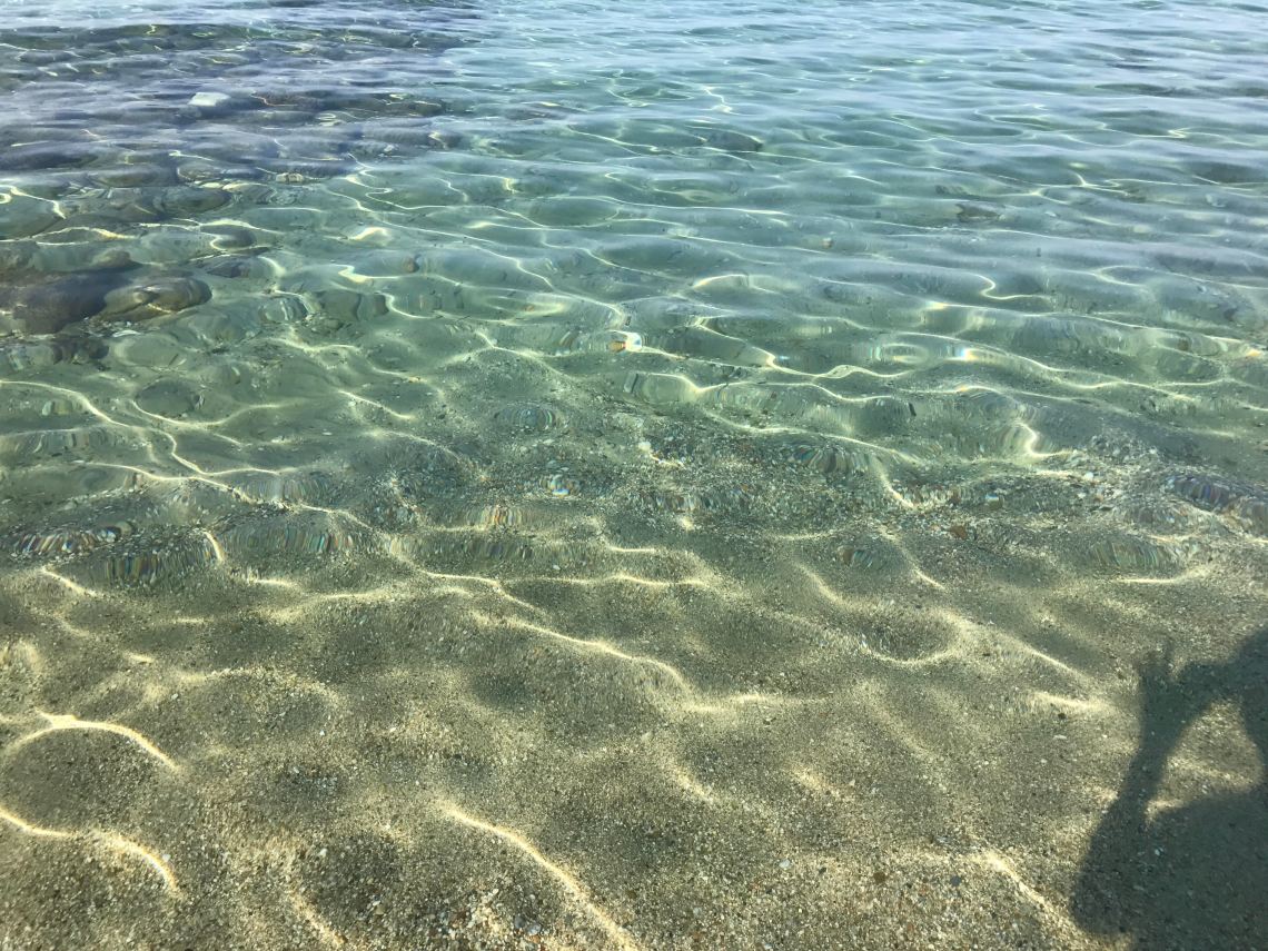 on ecologies image from Diana