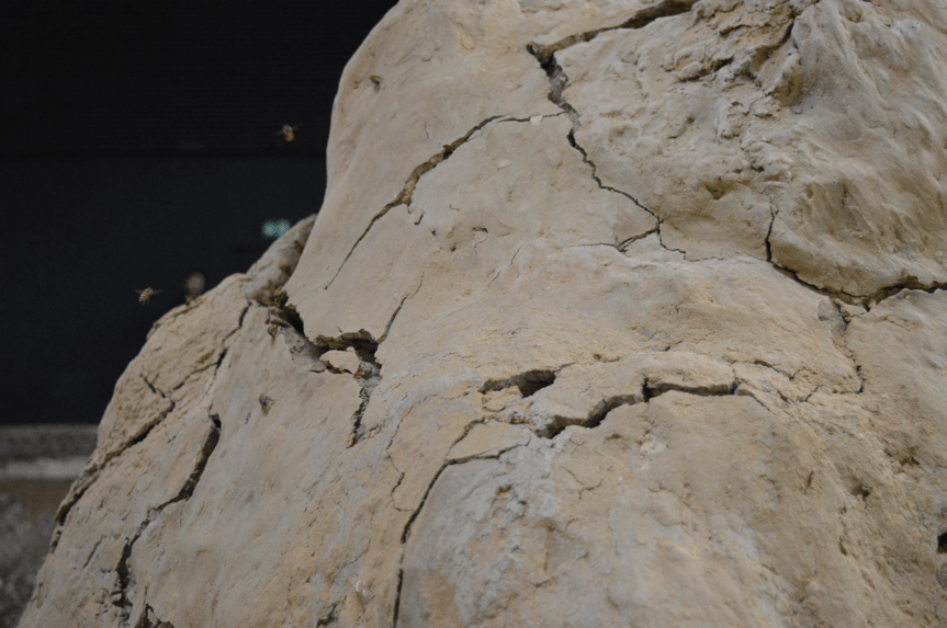 Elizabeth Atkinson 2