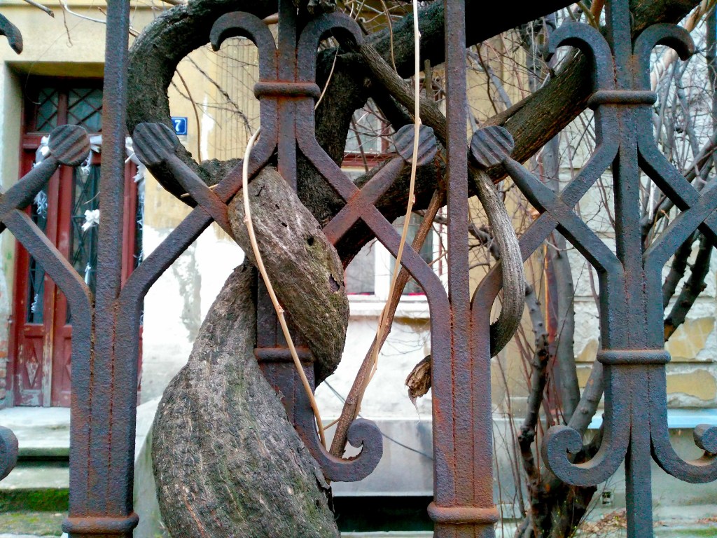 Tree branches entwined with railings